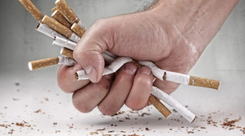 illicit trade tobacco Lessons for cannabis regulation from the illicit tobacco trade